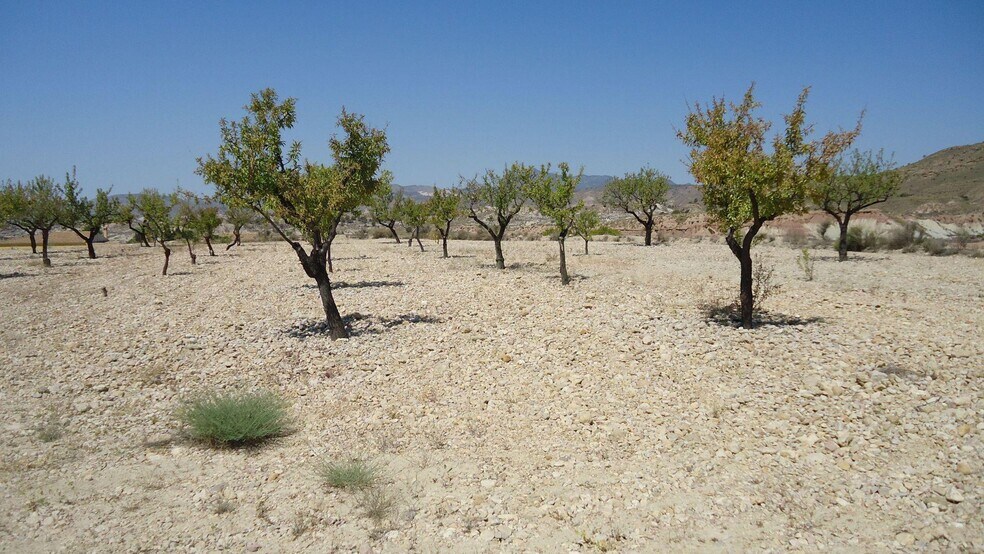Terrain dans Abanilla, Murcia à vendre - Plan de site – Image 3 sur 7
