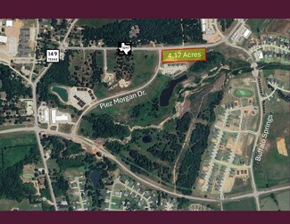 Plus de détails pour Plez Morgan, Montgomery, TX - Terrain à vendre