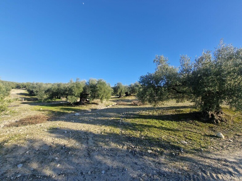 Polígono Ua-10, Parcela 164, Montilla, Córdoba à vendre - Photo de l’immeuble – Image 2 sur 15