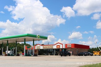 Plus de détails pour 13408 US Highway 280 E, Salem, AL - Local commercial à vendre