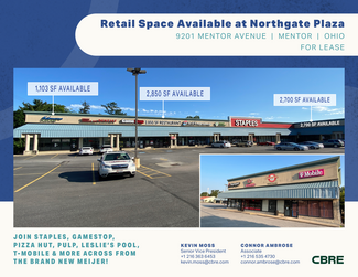 Plus de détails pour 9201-9223 Mentor Ave, Mentor, OH - Bureau/Local commercial, Local commercial à louer