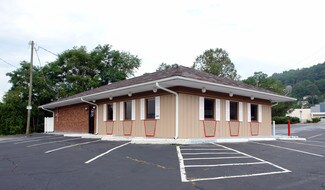 Plus de détails pour 84 Mineral Springs Rd, Asheville, NC - Local commercial à vendre