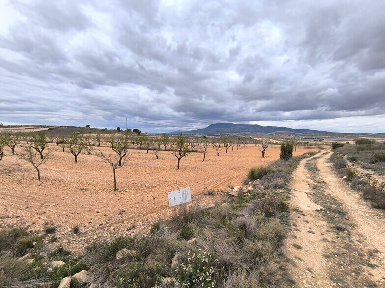 Terrain dans Yecla, Murcia à vendre - Aérien – Image 2 sur 3