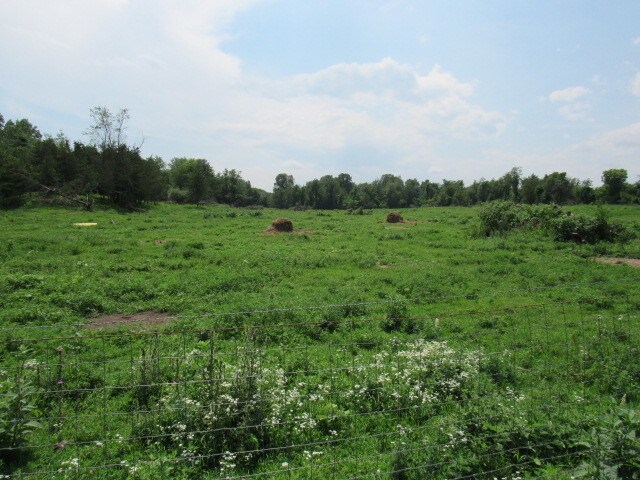 View Photo