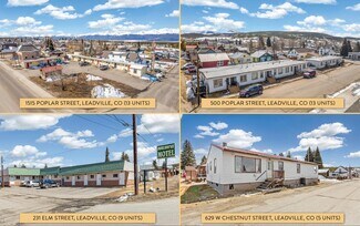 Plus de détails pour Leadville Portfolio – Logement à vendre, Leadville, CO