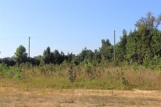 Plus de détails pour 0 AL 157 Hwy, Cullman, AL - Terrain à vendre