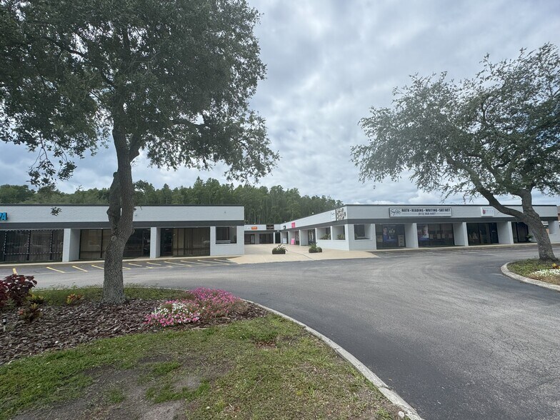 3802 Ehrlich Rd, Tampa, FL à louer - Photo de l’immeuble – Image 2 sur 8