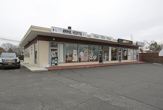 Plus de détails pour 1215 Route 25A, Smithtown, NY - Local commercial à vendre