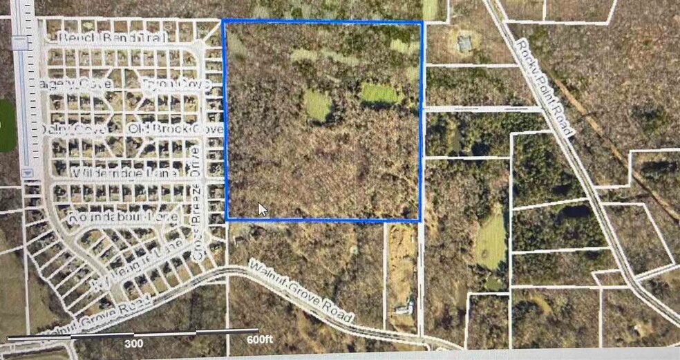 0 Walnut Grove, Cordova, TN à vendre - Aérien – Image 2 sur 2