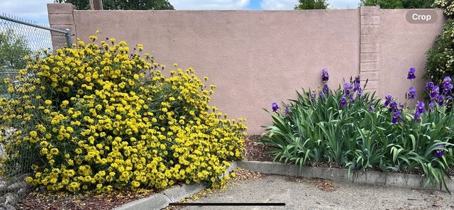 4713 Yosemite Blvd, Modesto, CA à vendre - Photo de l’immeuble – Image 2 sur 23