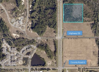 Plus de détails pour 0 Highway 59, Gulf Shores, AL - Terrain à vendre