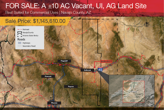 Plus de détails pour ±10 AC Vacant Land Navajo County, AZ, Hereford, AZ - Terrain à vendre