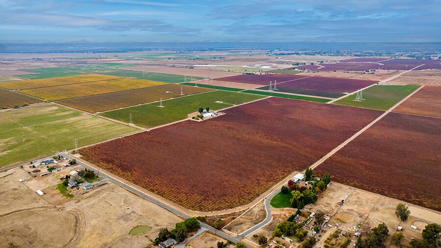 Colony Ranch Vineyard, Wilton, CA à vendre - Photo de l’immeuble – Image 2 sur 11