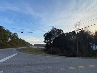 Plus de détails pour Highway 145, Columbiana, AL - Terrain à vendre