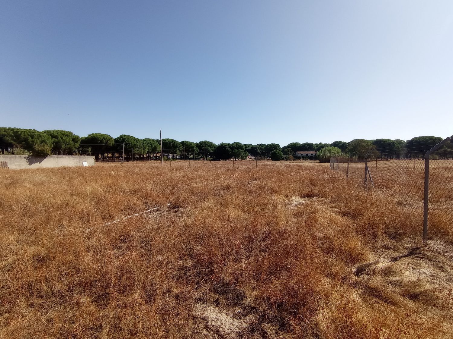 Calle de la Cañada la Nava del Pinar, 10A, Laguna de Duero, Valladolid à vendre Photo principale– Image 1 sur 17