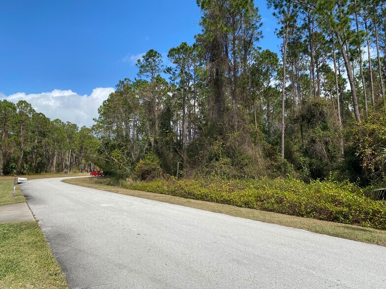 31004 Secretariat Trl, Leesburg, FL à vendre - Photo principale – Image 2 sur 17