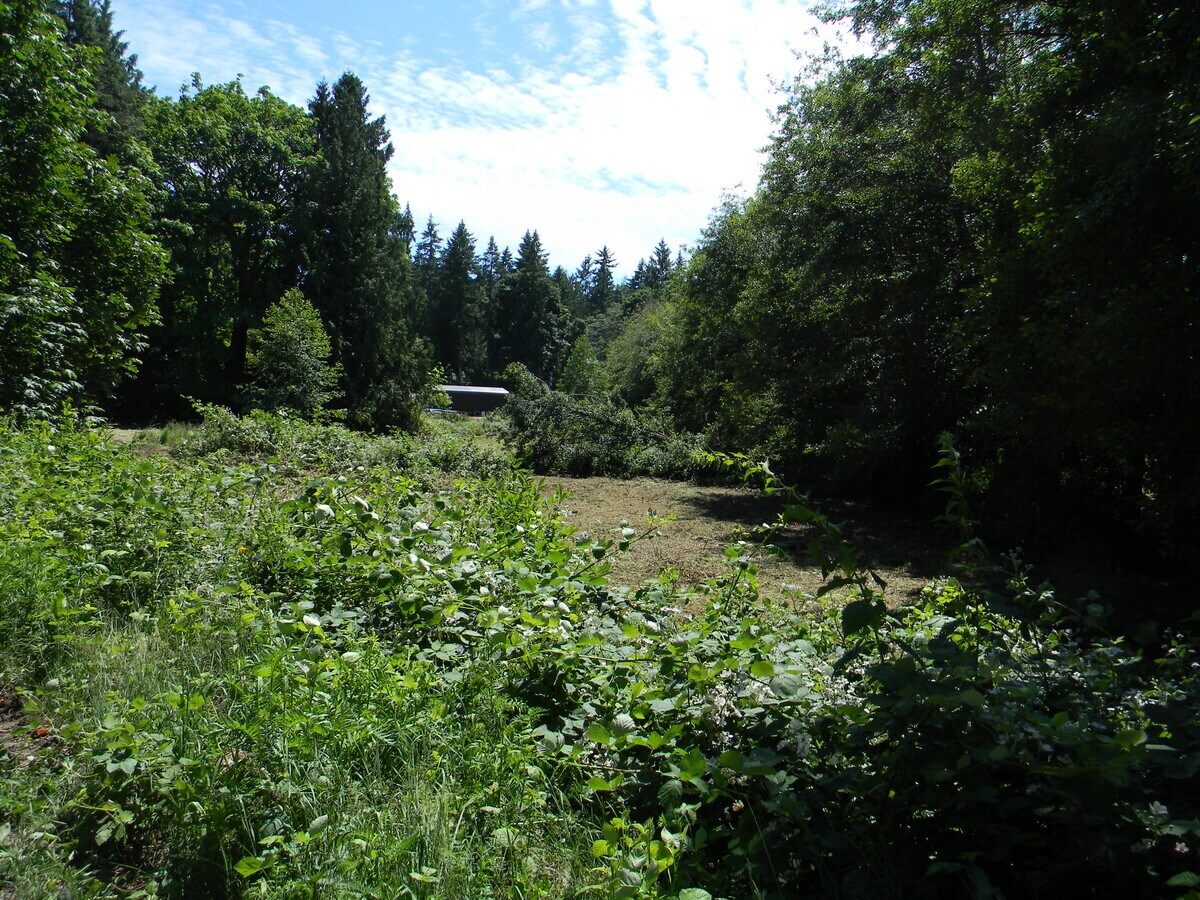 View Photo
