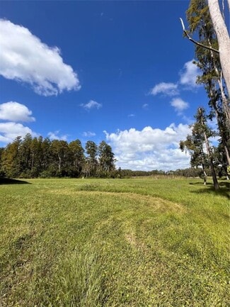 Plus de détails pour 1029 Van Dyke Rd, Lutz, FL - Spécialisé à vendre