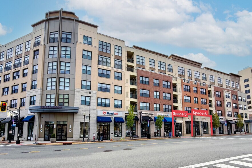 638 Bloomfield Ave, Montclair, NJ à louer - Photo principale – Image 1 sur 4