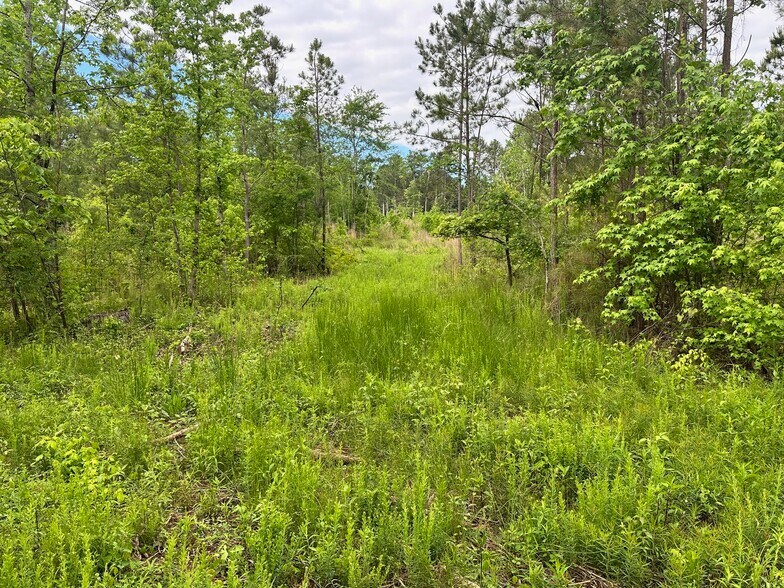 Satcher Road Rd, Taylorsville, GA à vendre - Photo de l’immeuble – Image 3 sur 5