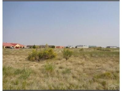 203 S Burlington Dr, Pueblo West, CO à vendre - Photo de l’immeuble – Image 3 sur 3