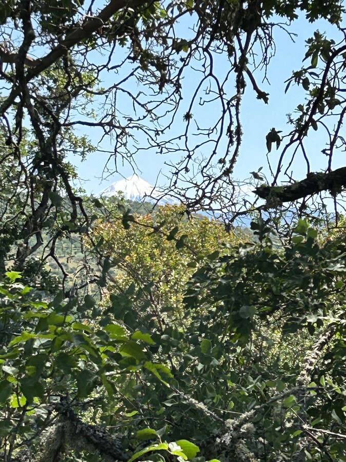 View Photo