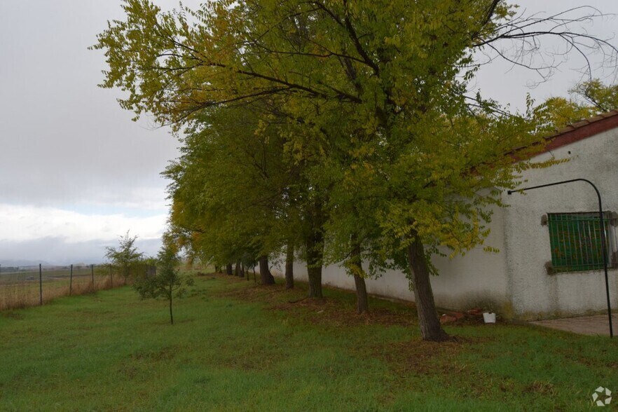 Industriel/Logistique dans Talamanca de Jarama, Madrid à vendre - Photo de l’immeuble – Image 3 sur 16