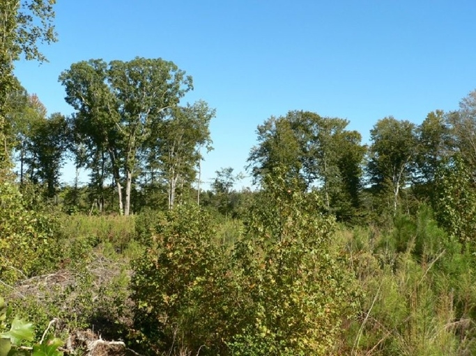 16215 Eltham Rd, Lanexa, VA à vendre - Photo de l’immeuble – Image 2 sur 4