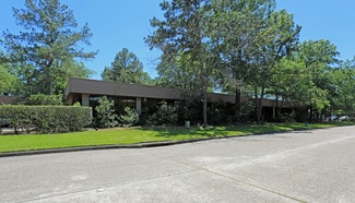 Plus de détails pour 1408 Stonehollow Dr, Kingwood, TX - Bureau à louer