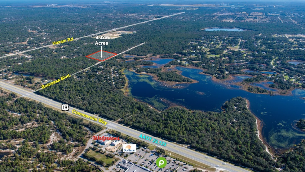 11011 Bourassa Blvd, Brooksville, FL à vendre - Aérien – Image 2 sur 25