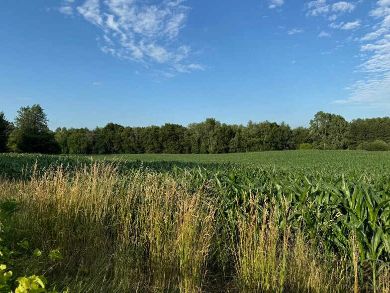 0 V/L Green St., Springport, MI à vendre - Photo de l’immeuble – Image 3 sur 19