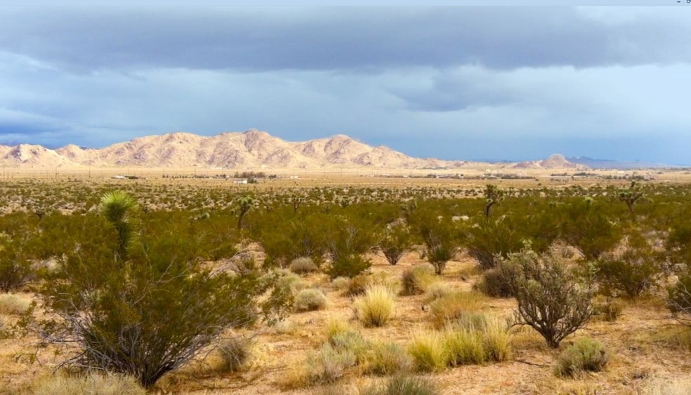 Joshua Rd, Lucerne Valley, CA à vendre - Photo principale – Image 1 sur 8