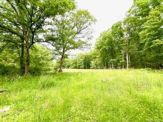 Plus de détails pour 7584 NY-97, Narrowsburg, NY - Terrain à vendre
