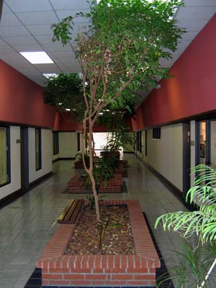6955 N Mesa St, El Paso, TX à louer - Photo de l’immeuble – Image 2 sur 2