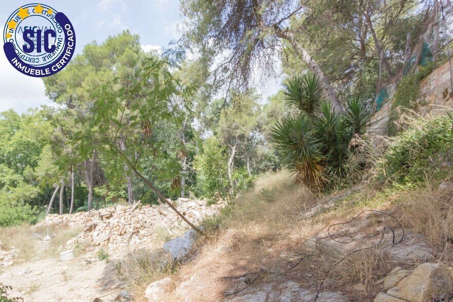 Terrain dans Godelleta à vendre - Photo de l’immeuble – Image 3 sur 6