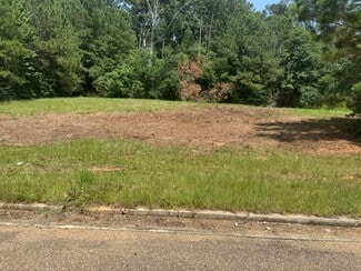 Plus de détails pour Parklane Rd, Mccomb, MS - Terrain à vendre