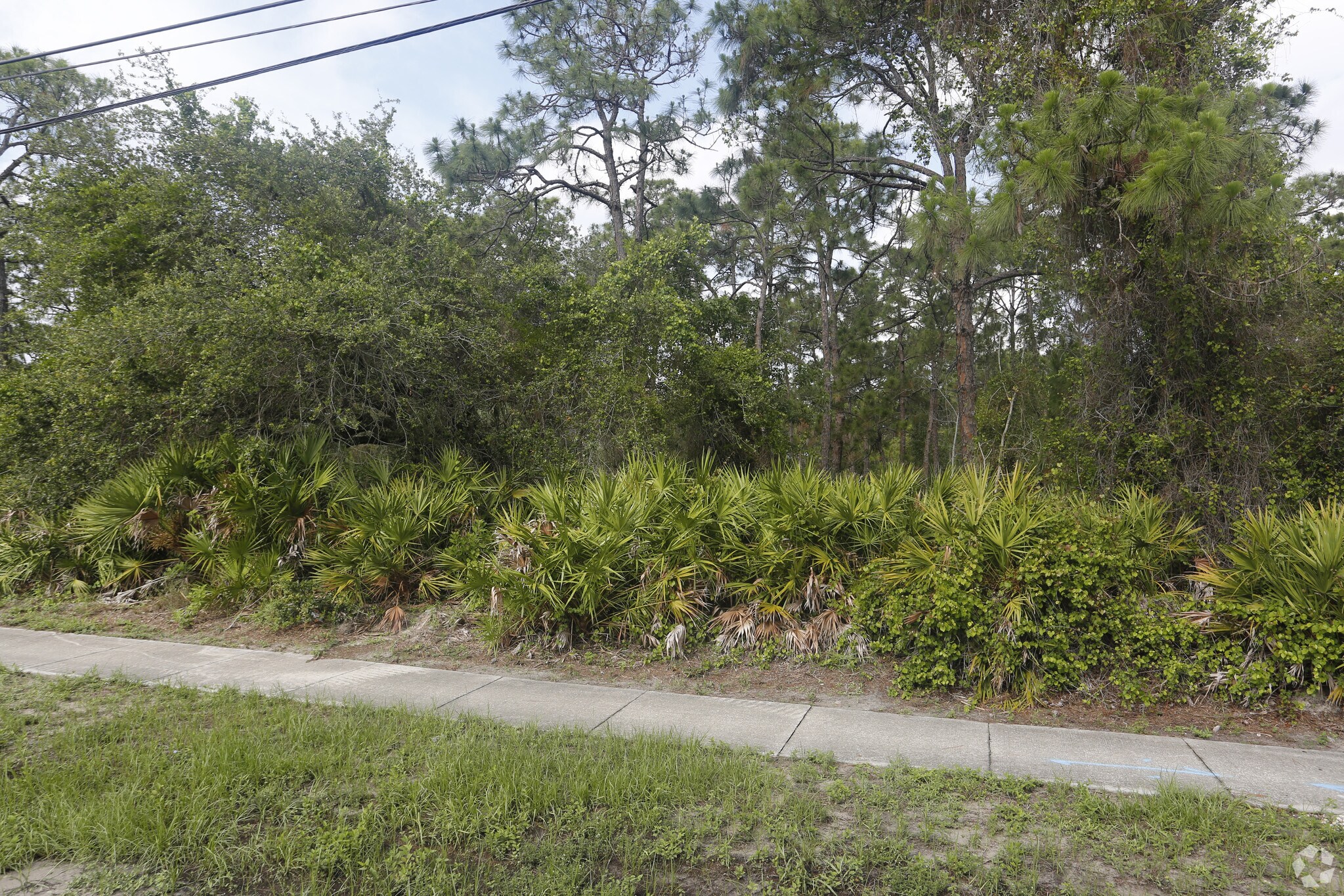 US 41, Fort Myers, FL à vendre Photo principale– Image 1 sur 5