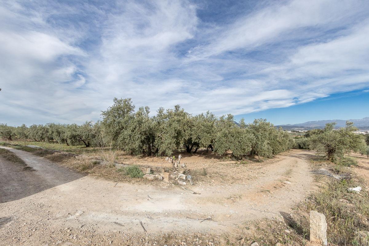 Pago de, Albolote, Granada à vendre Photo principale– Image 1 sur 15