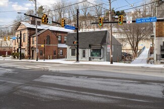 Plus de détails pour 2404 Saw Mill Run Blvd, Pittsburgh, PA - Local commercial à vendre