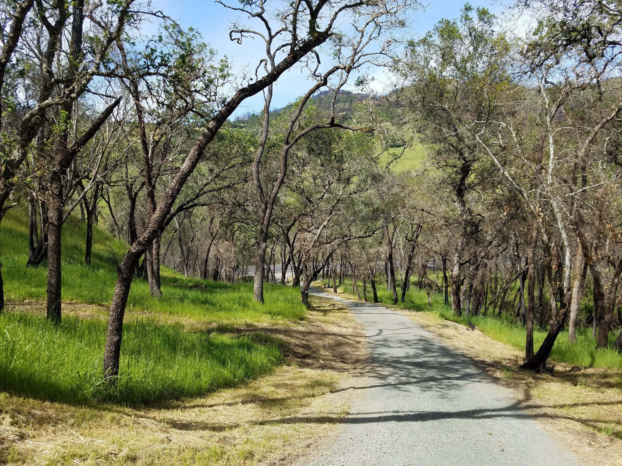 3550 Porter Creek Rd, Santa Rosa, CA à vendre Photo principale– Image 1 sur 8