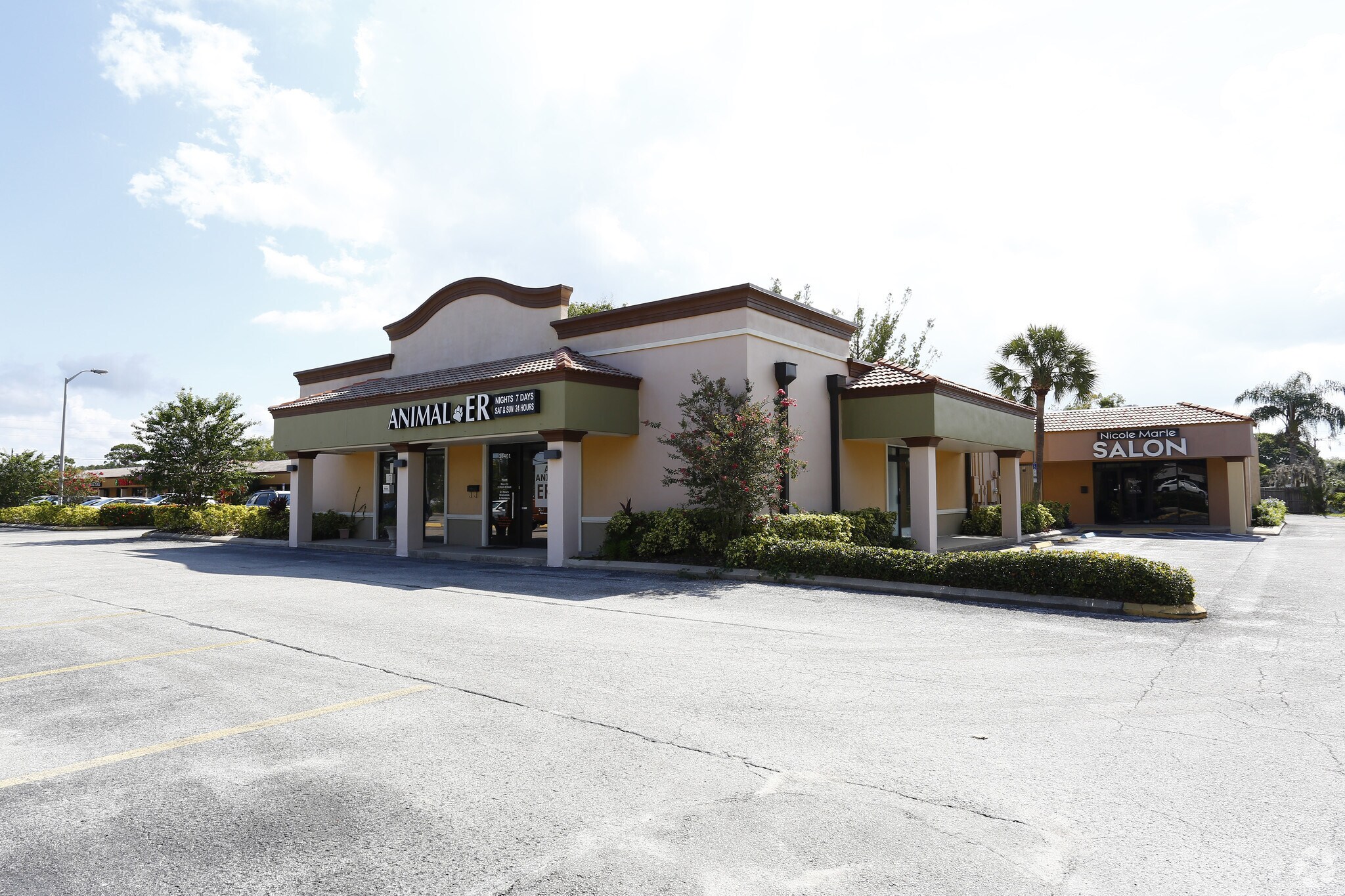 36401-36531 Us Hwy 19 N, Palm Harbor, FL à louer Photo principale– Image 1 sur 25