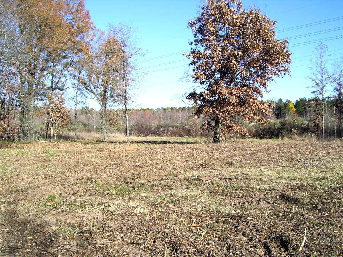 View Photo