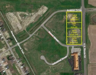 Plus de détails pour Benck St & Industrial Dr, Manhattan, IL - Terrain à vendre