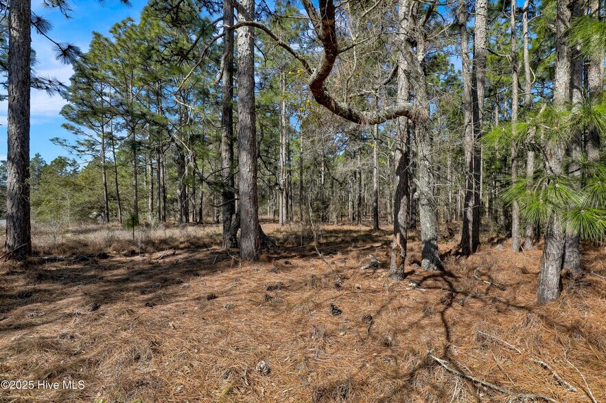 Sand Ridge Rd, Hubert, NC à vendre - Photo de l’immeuble – Image 2 sur 16