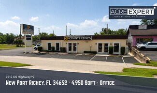 Plus de détails pour 7212 US Highway 19, New Port Richey, FL - Bureau à vendre