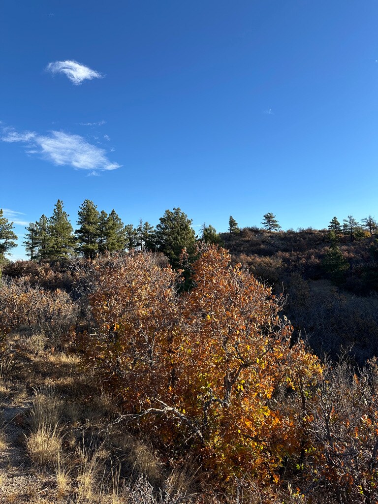 4040 Bell Mountain Dr, Castle Rock, CO à vendre Photo principale– Image 1 sur 10