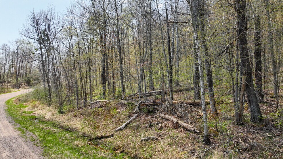 N Gueldner Lane, Exeland, WI à vendre - Photo principale – Image 1 sur 10