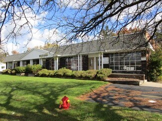 Plus de détails pour 29906-29940 Orchard Lake Rd, Farmington Hills, MI - Bureau à louer