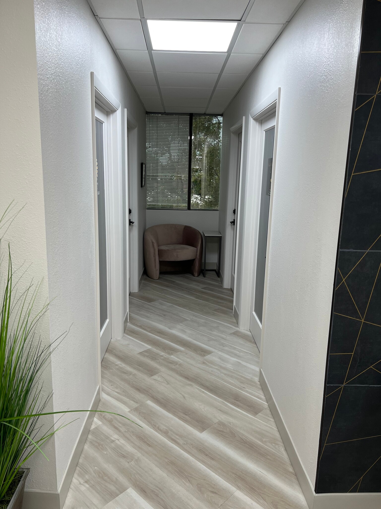 14502 N Dale Mabry Hwy, Tampa, FL à louer Photo de l’immeuble– Image 1 sur 5