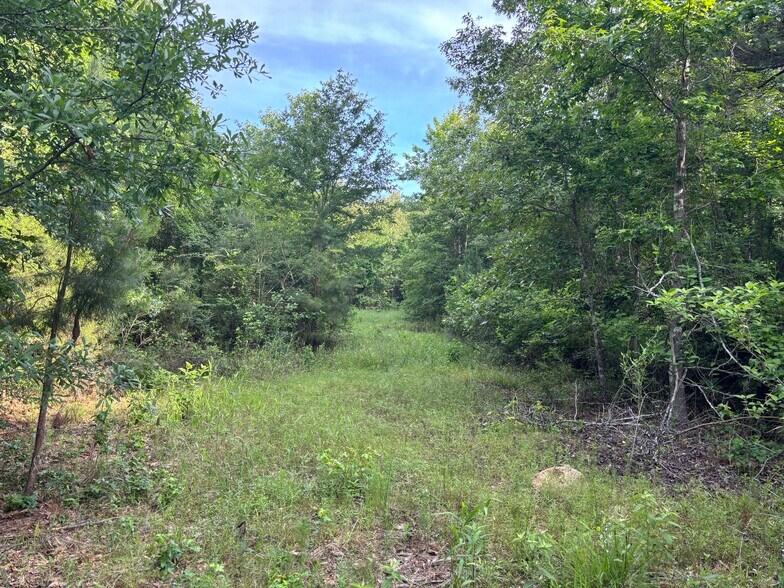 TBD Willie Reed Road, Jefferson, TX à vendre - Photo de l’immeuble – Image 2 sur 6